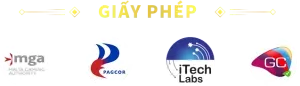 giay-phep-hop-phap-s8